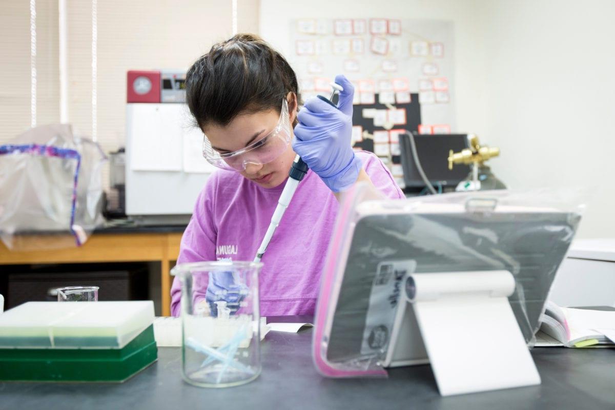 student working in lab